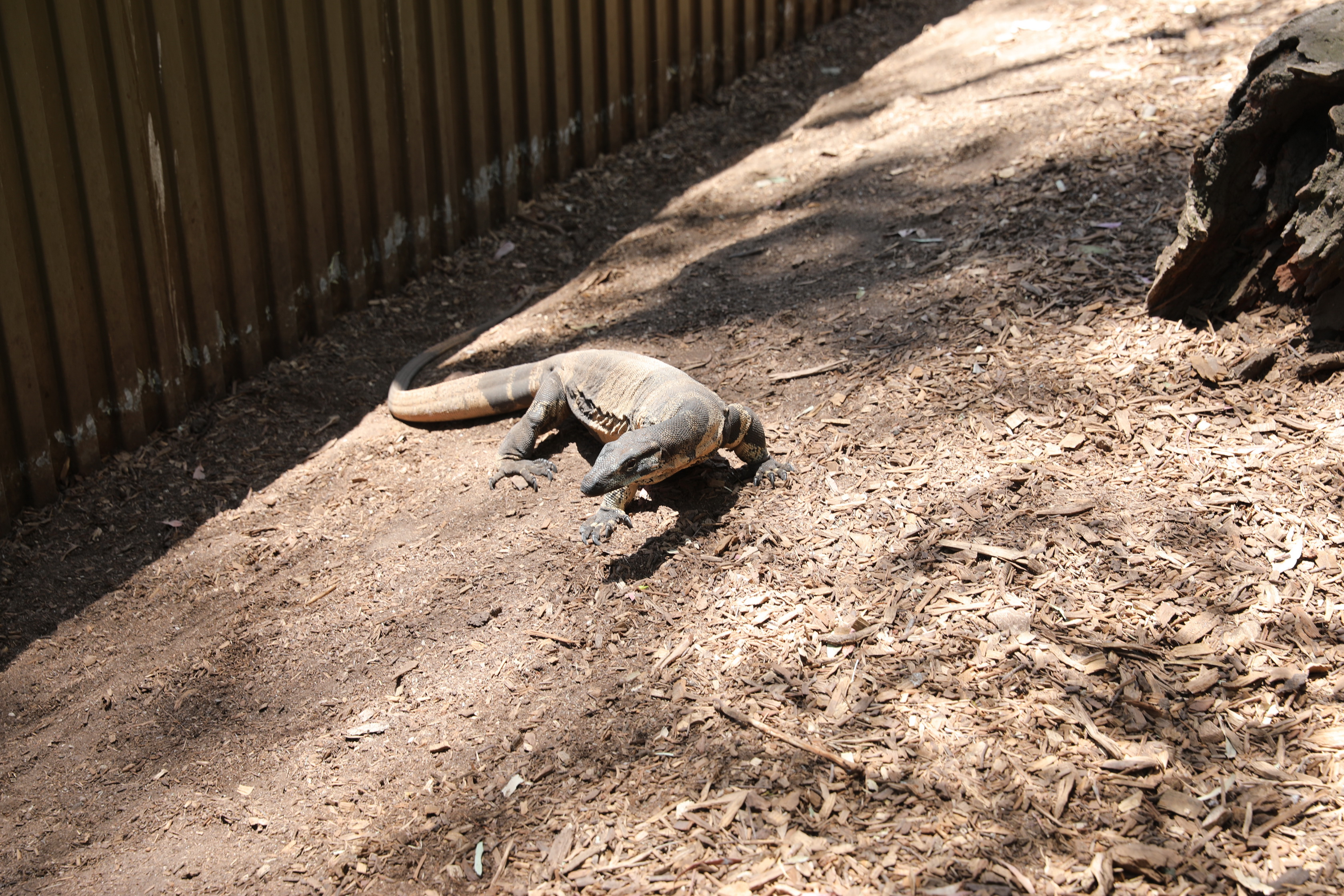 2019 11 22 13 17 28 Canon EOS 5D Mark IV 0002